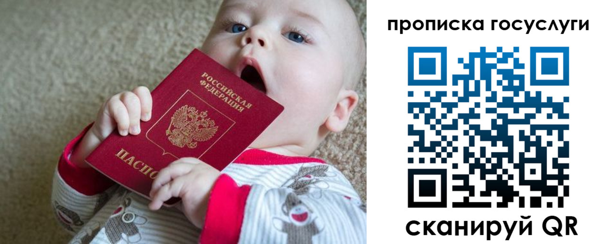 временная регистрация в квартире в Курской области