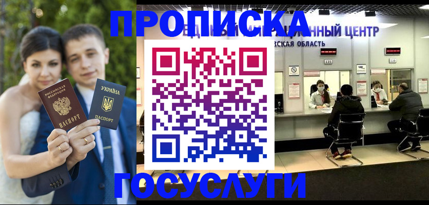 прописка штамп в Курской области